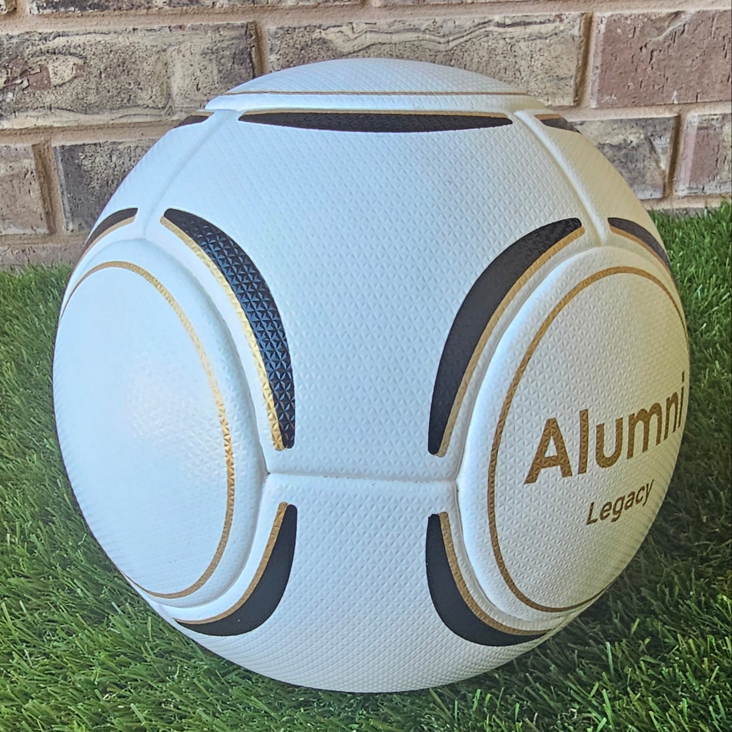 Legacy Ball Pack