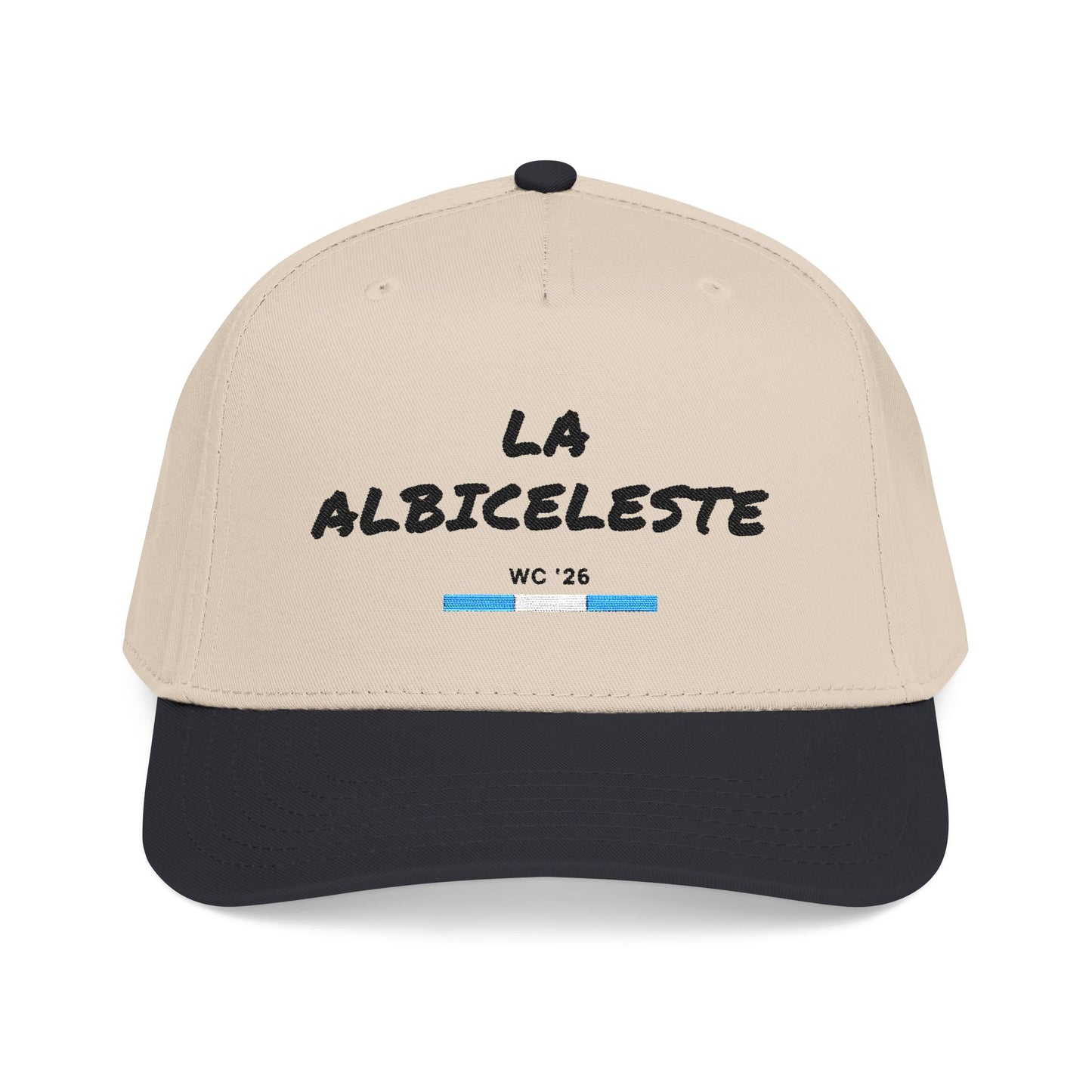 🇦🇷 La Albiceleste
