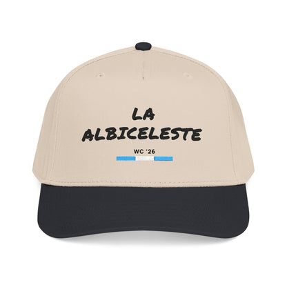 🇦🇷 La Albiceleste