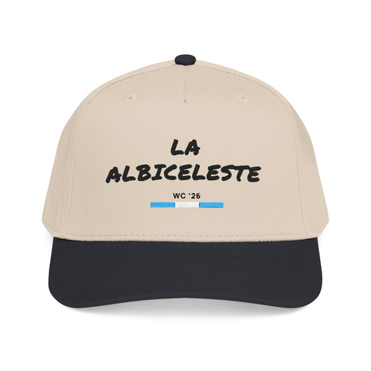 🇦🇷 La Albiceleste