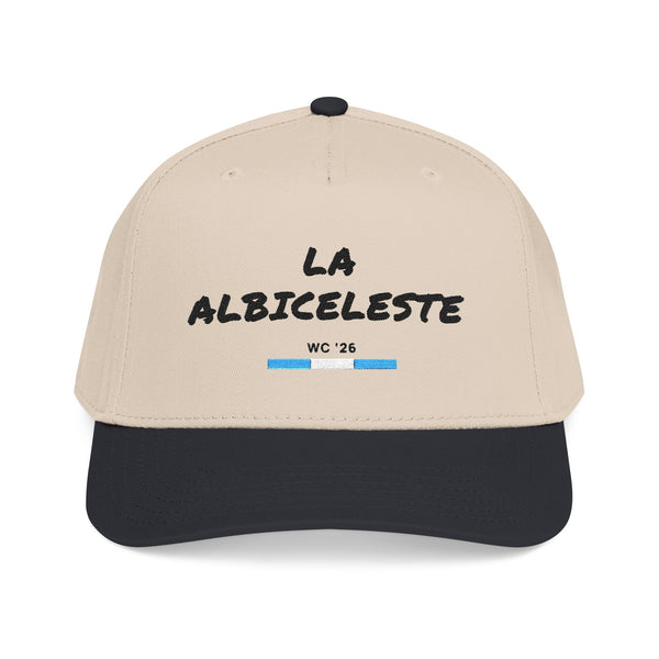 🇦🇷 La Albiceleste